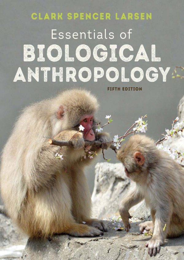 Essentials of Biological Anthropology 5th Edition