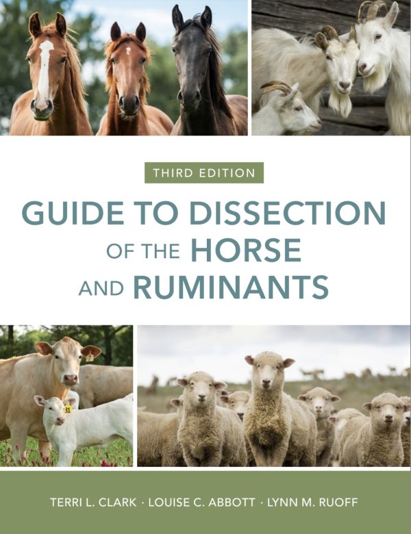 Guide to Dissection of the Horse and Ruminants 3rd Edition